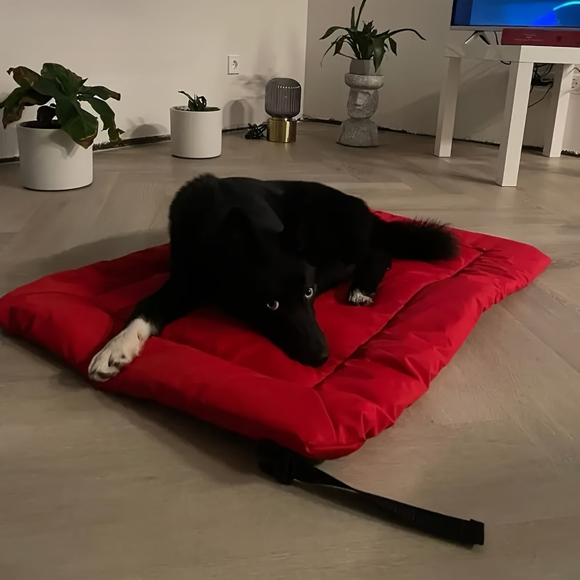 Tapis de Voyage Pliable pour Chien – Résistant et Confortable
