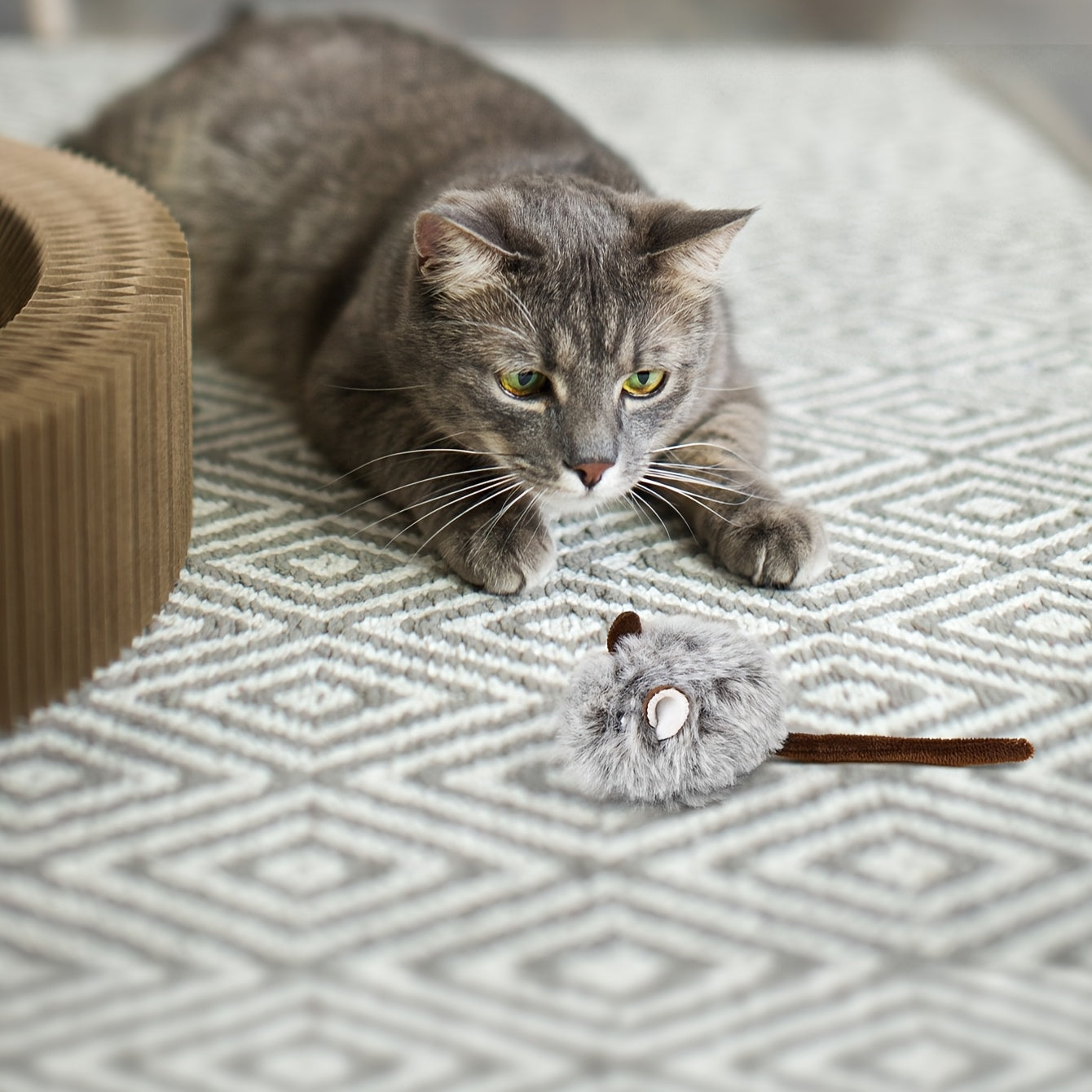 Jouet Souris en Peluche pour Chat – Pack Multi-Unités
