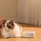2 en 1 Distributeur automatique nourriture & eau pour chien et chat