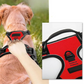 Harnais Renforcé Anti-Traction pour Chien