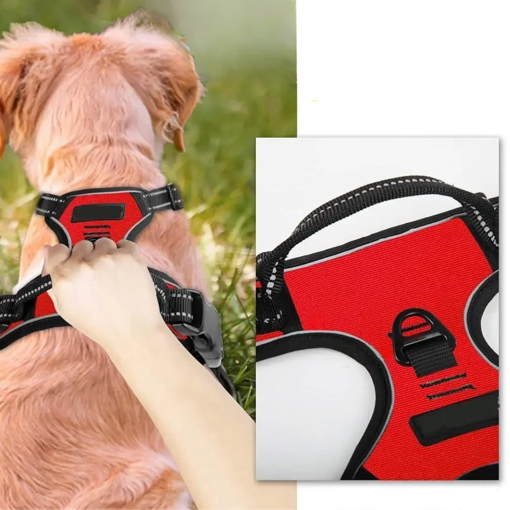 Harnais Renforcé Anti-Traction pour Chien