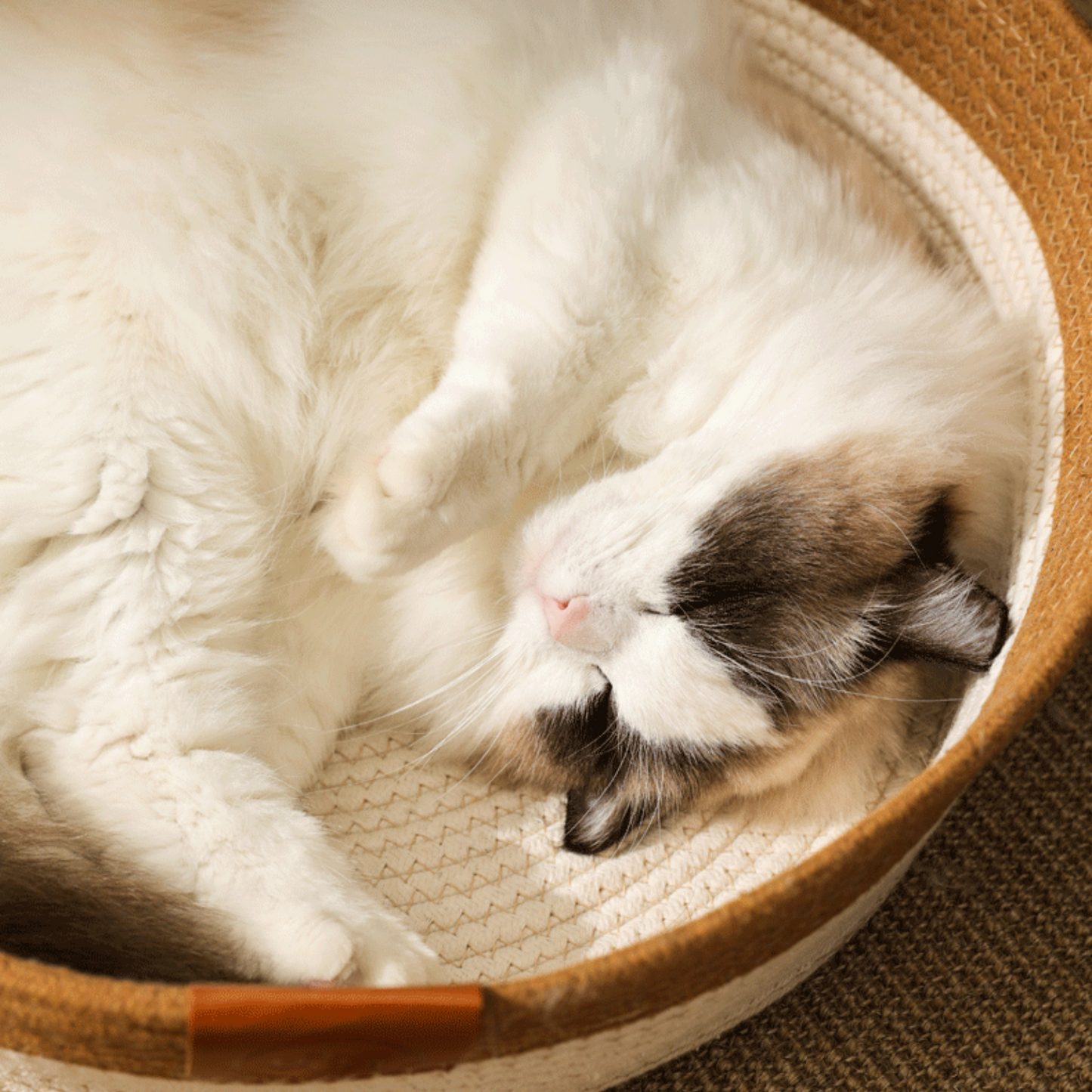 Panier Tressé Confort pour Chat – Design Oreilles & Queue