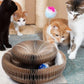 Jouet pliable piste-balle pour chat – Griffoir & divertissement
