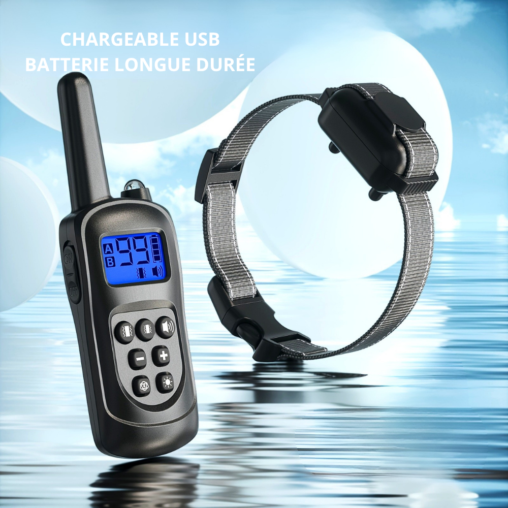 Collier de Dressage à Vibration avec Télécommande – 3 modes, lumière intégrée