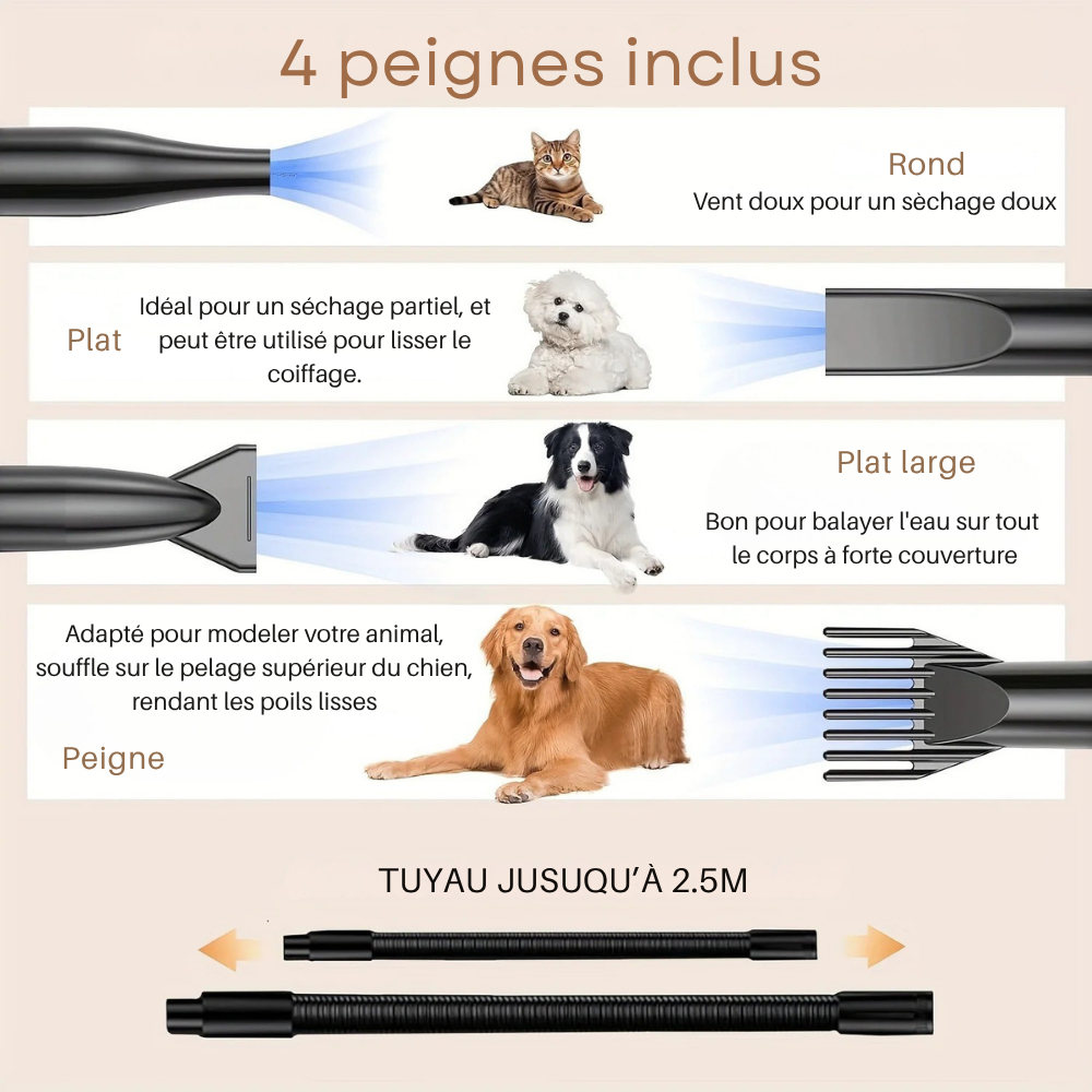 Pulseur Professionnel Silencieux – 4 Embouts & Tuyau 2,5 m