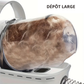 Aspirateur de Toilettage pour Animaux – Kit Complet Multifonction