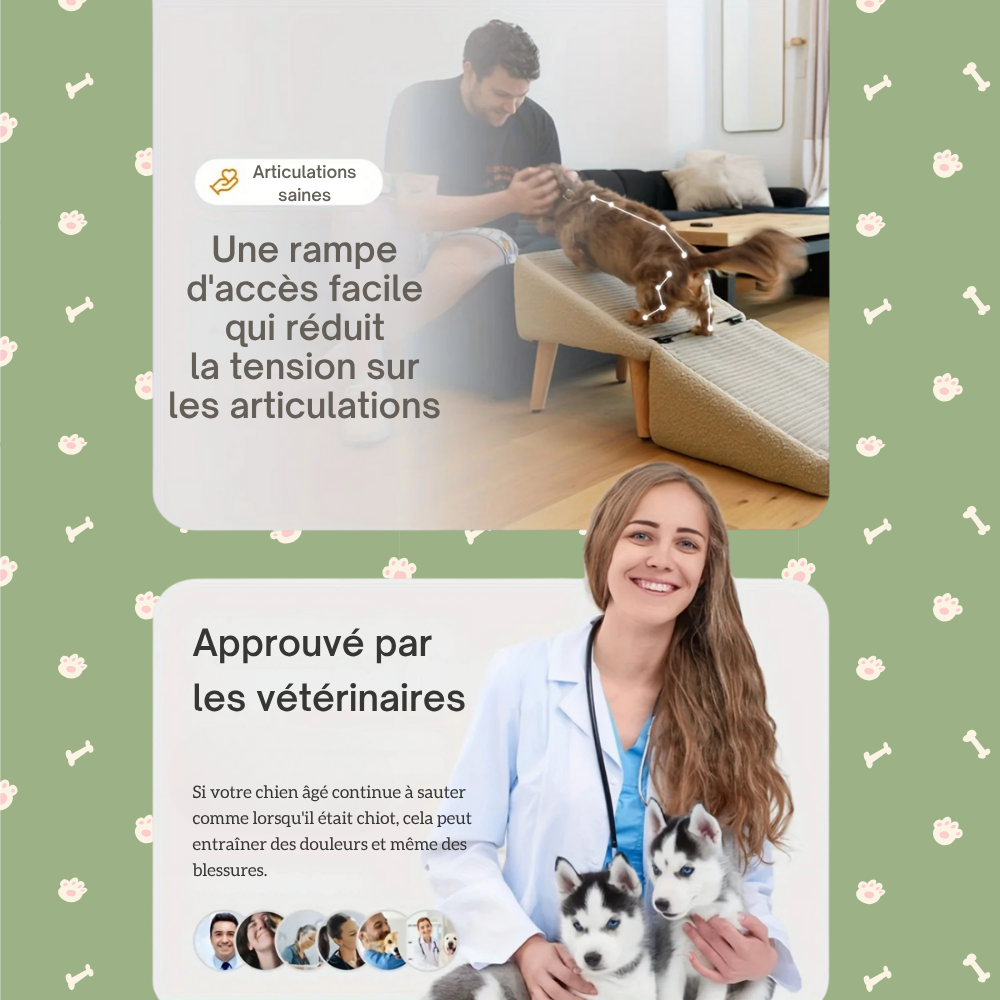 Rampe Repliable pour Chiens avec Revêtement Lavable