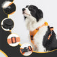 Harnais Confort Total pour Chien – Anti-Traction & Respirant