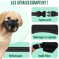Muselière Souple Anti-Morsure pour Chiens