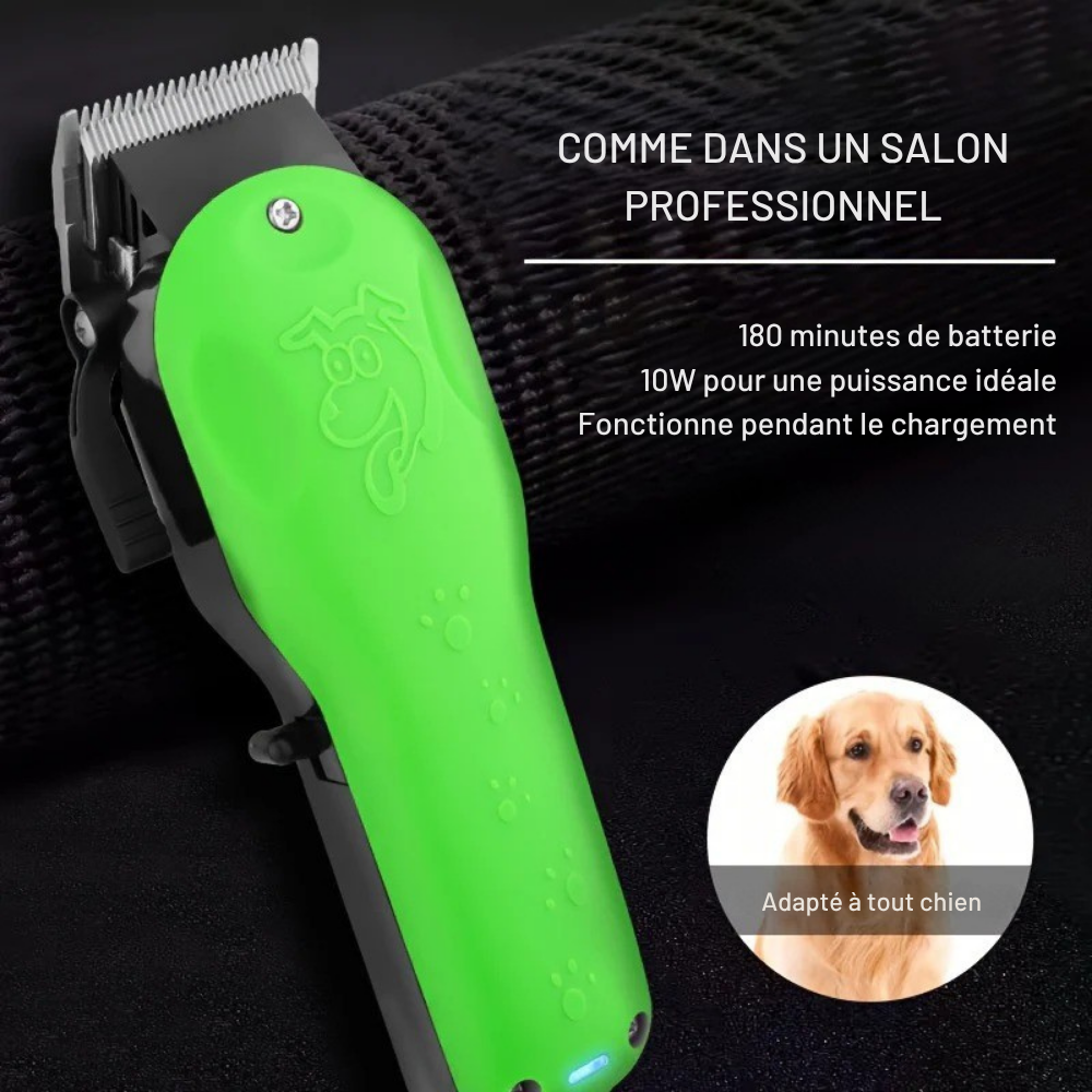 Tondeuse Professionnelle Rechargeable pour Chiens et Chats HIENA