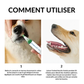 Stylo Brosse à Dents pour Animaux ROZINO