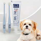 Kit Brosse à Dents Ultra-Douce & Dentifrice Bœuf