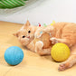 Balle à Griffer avec Son pour Chat – 8 cm