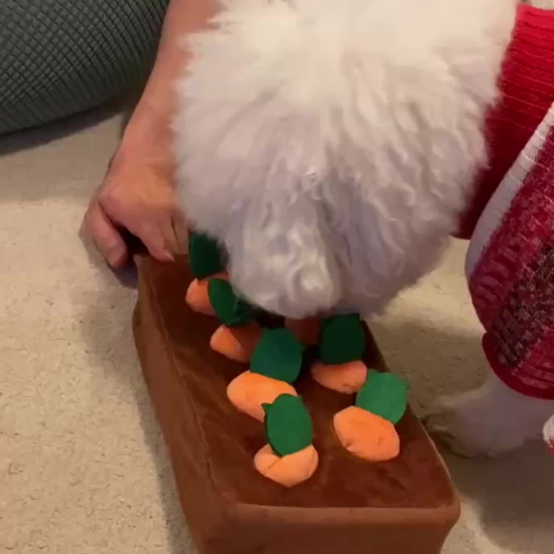 Jeu de Récolte de Carottes en Peluche pour Chiens