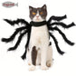 Costume Araignée d’Halloween pour Chats et Petits Chiens