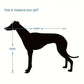 Cage de Transport en Aluminium pour Chien