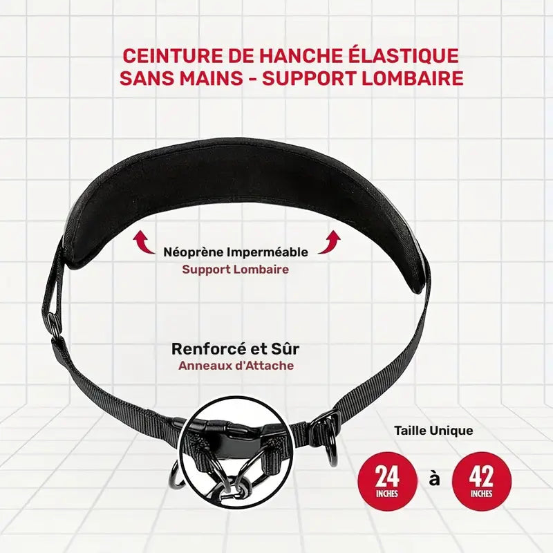 Laisse Ceinture Mains Libres pour Chien