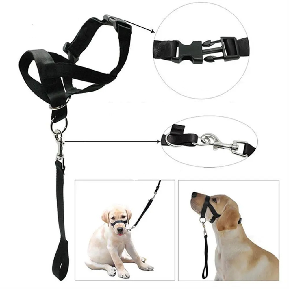 Harnais d'entraînement anti-traction pour Chien