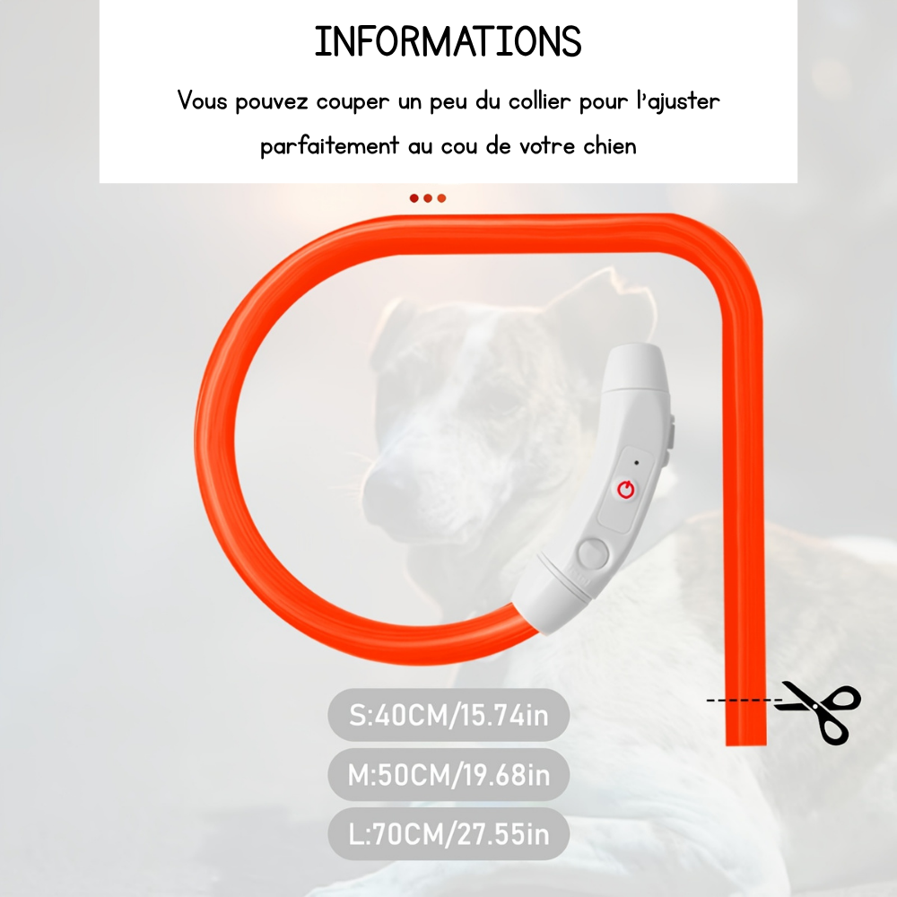 Collier lumineux Neon USB multicolore pour Chien