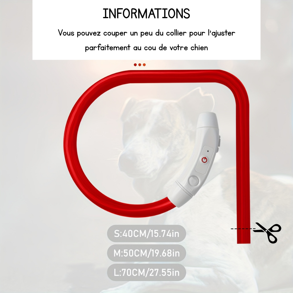 Collier lumineux Neon USB multicolore pour Chien