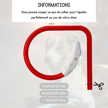 Collier lumineux Neon USB multicolore pour Chien