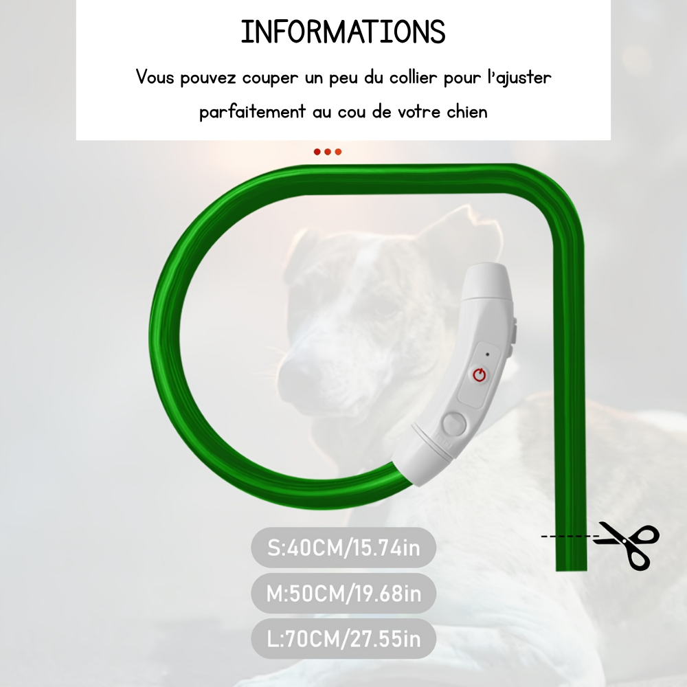 Collier lumineux Neon USB multicolore pour Chien