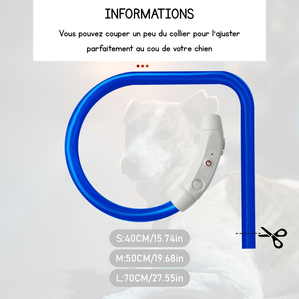 Collier lumineux Neon USB multicolore pour Chien