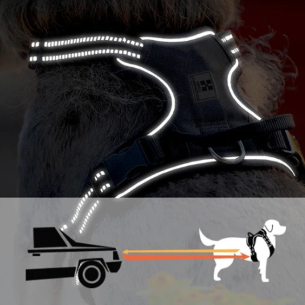 Harnais Gillet Réfléchissant Anti-traction pour Chien