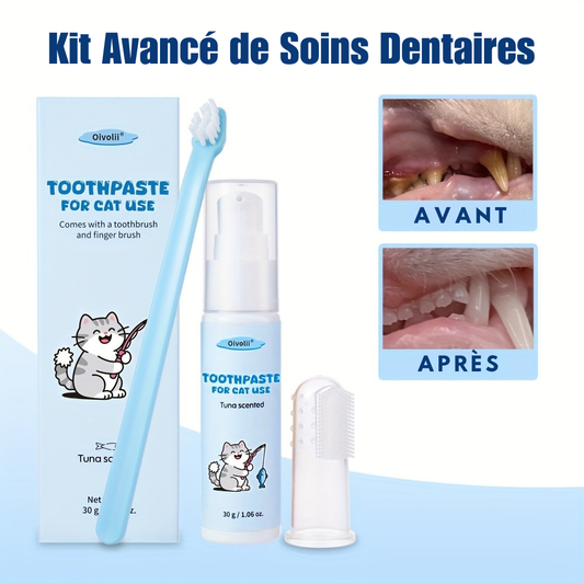 Kit Dentifrice pour Chat avec Deux Brossettes