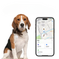 Traceur GPS X-Tag Intelligent sans fil iOS pour Chien