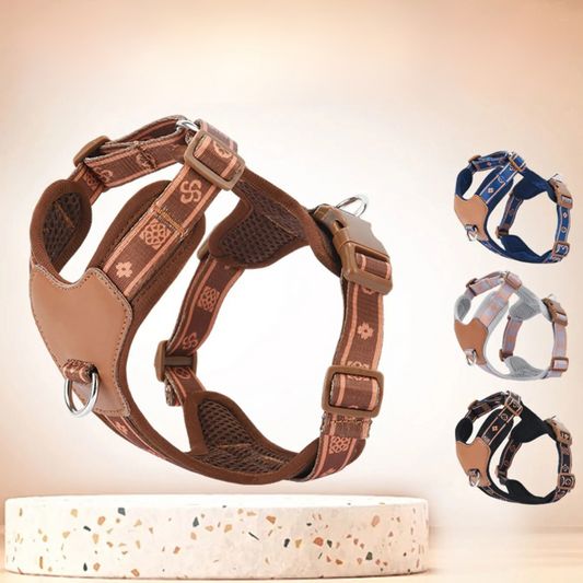 Harnais Simili Cuir Anti-Traction pour Petit Chien