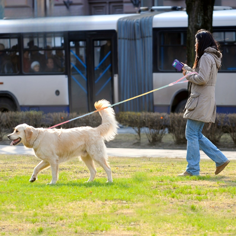 Laisse Colorée Pastel 1,5M pour Chien