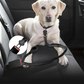 Laisse Tactique & Ceinture de Sécurité Voiture Pro pour Chien