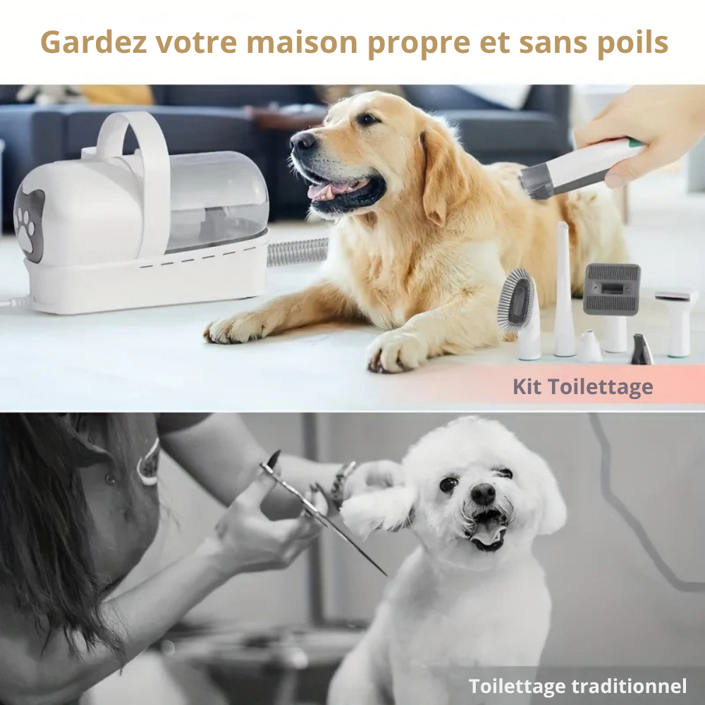 Aspirateur de Toilettage pour Animaux – Kit Complet Multifonction