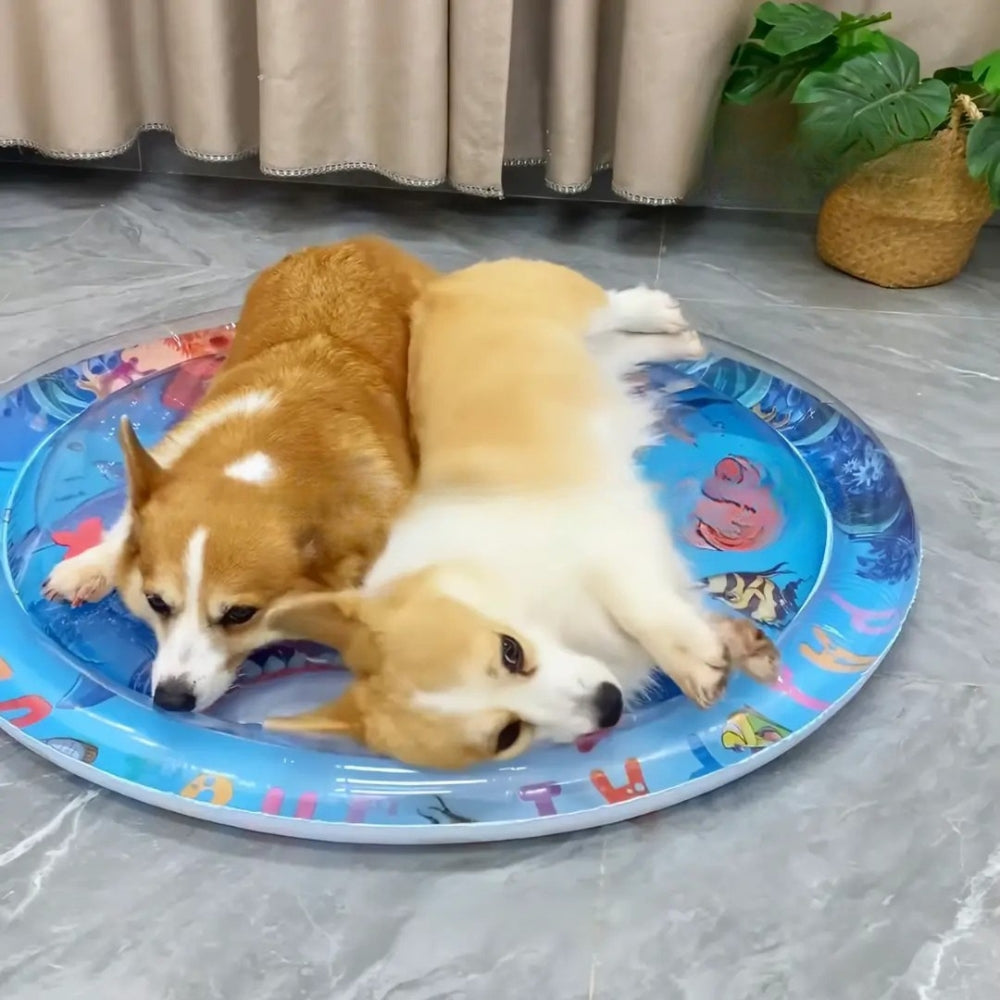 Tapis Aquatique Rafraîchissant – Confort d’Été pour Chien & Chat