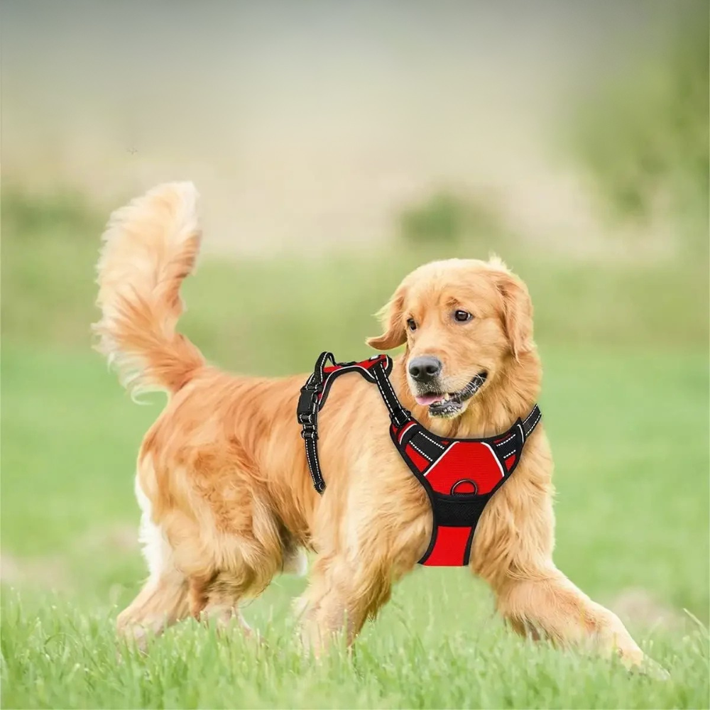 Harnais Renforcé Anti-Traction pour Chien