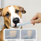 Kit Brosse à Dents Ultra-Douce & Dentifrice Bœuf pour Chiens