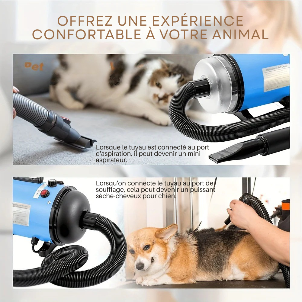 Pulseur Professionnel Silencieux – 4 Embouts & Tuyau 2,5 m