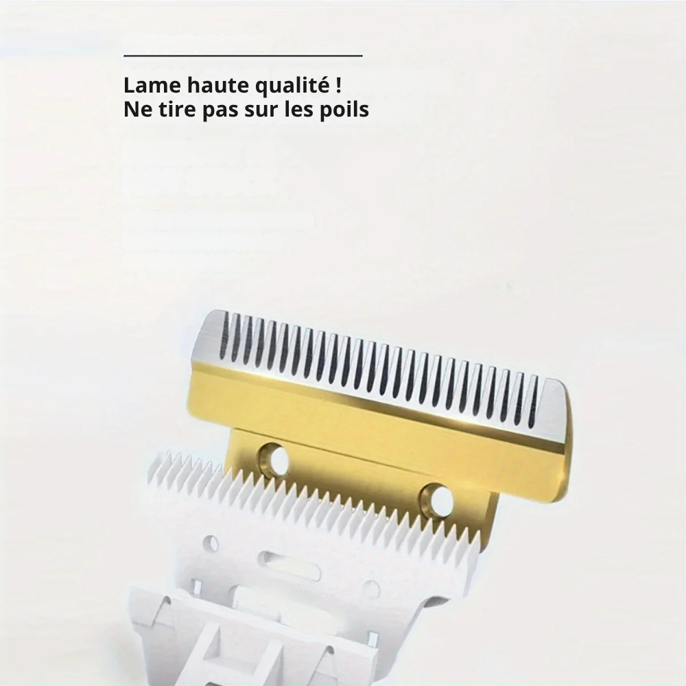 Tondeuse Électrique pour Poils d’Animaux Rechargeable USB