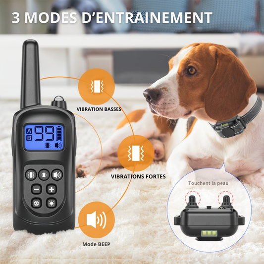 Collier de Dressage à Vibration avec Télécommande – 3 modes, lumière intégrée