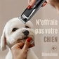 Tondeuse Silencieuse Rechargeable pour Chiens et Chats