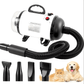 Pulseur Professionnel Silencieux – 4 Embouts & Tuyau 2,5 m
