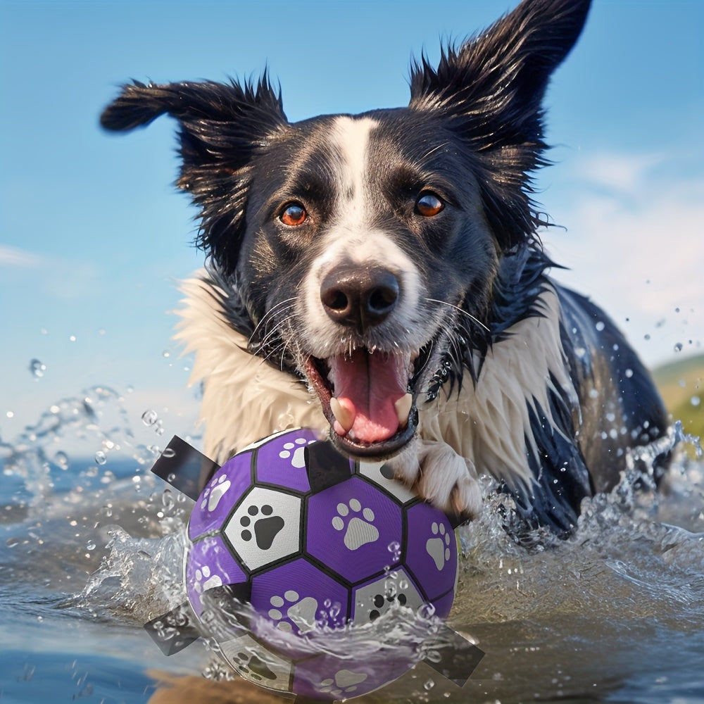 Ballon de Football pour Chien avec Poignées - Violet & Noir