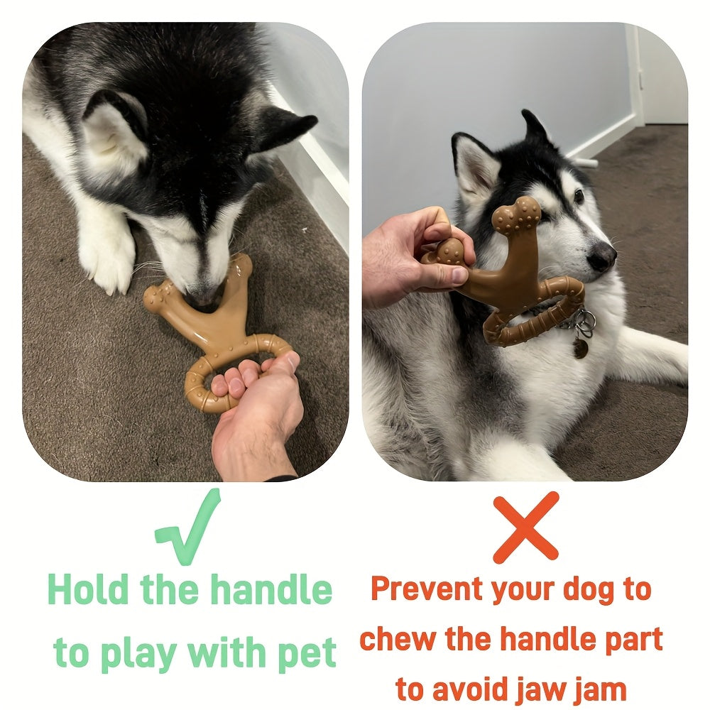 Jouet à Mâcher Résistant en Nylon pour Chiens