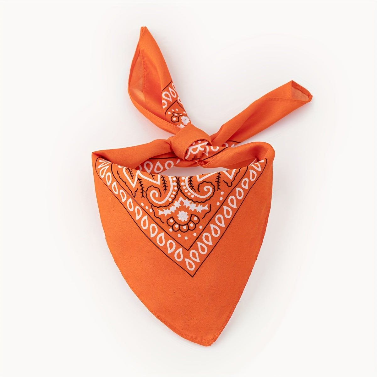 Bandana Classique Carré pour Chien – Motif Paisley