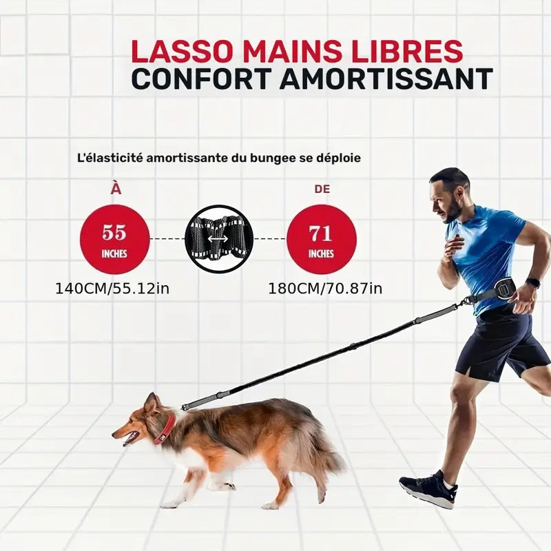 Laisse Ceinture Mains Libres pour Chien