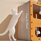 Maison Griffoir Verticale à Deux Niveaux pour Chats de Grande Taille