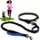 Laisse Elastique Mains Libres pour Chien