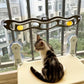 Jouet de Fenêtre Ondulé avec Balles pour Chat