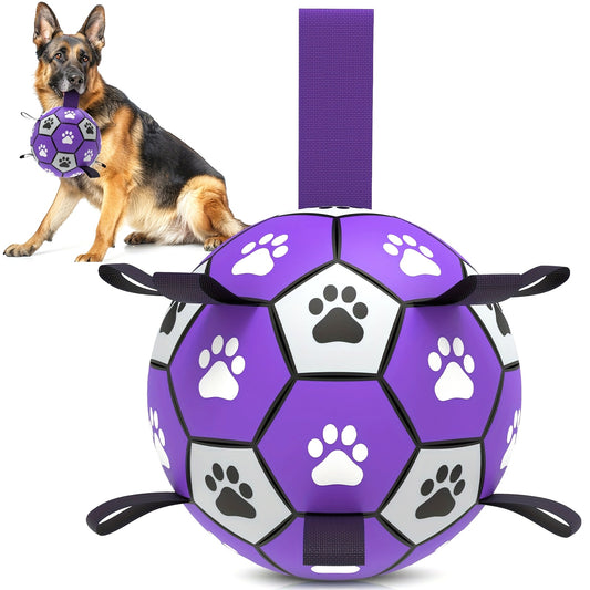 Ballon de Football pour Chien avec Poignées - Violet & Noir